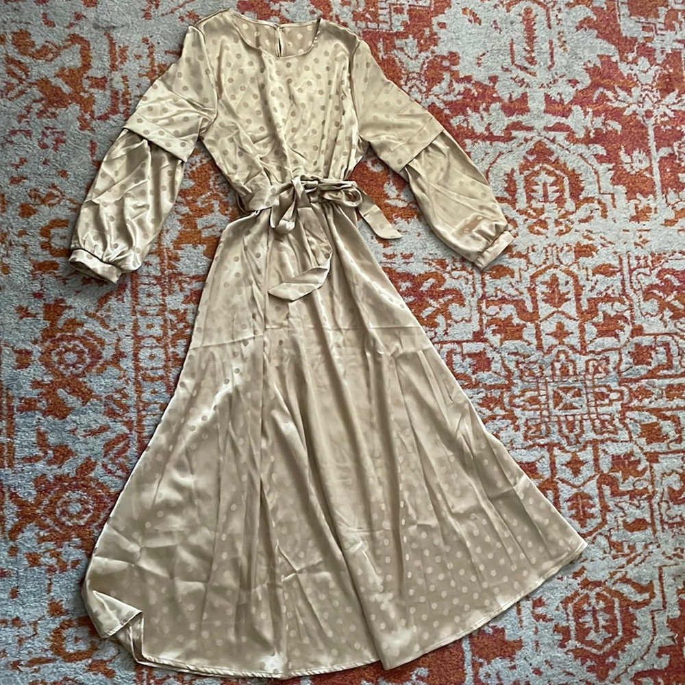Silky Beautiful Dress